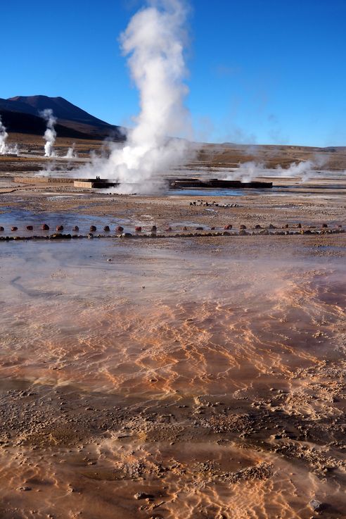 El Tatio - désert d'Atacama