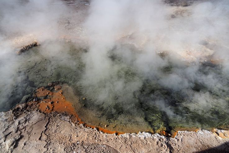 El Tatio - désert d'Atacama