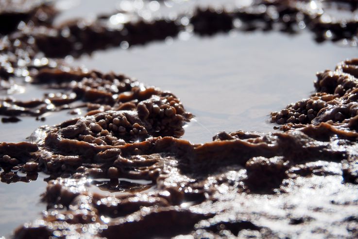 El Tatio - désert d'Atacama