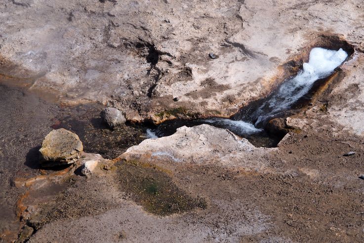 El Tatio - désert d'Atacama