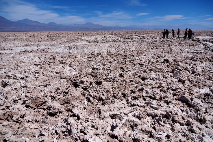 Salar de Chaxa - désert d'Atacama