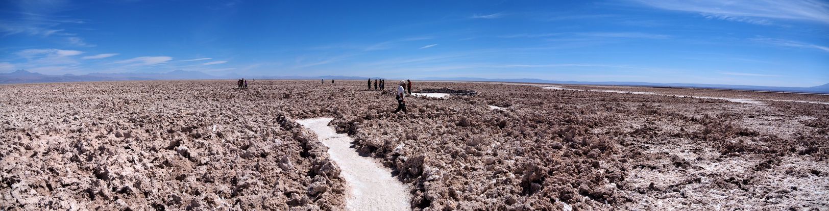 Salar de Chaxa - désert d'Atacama