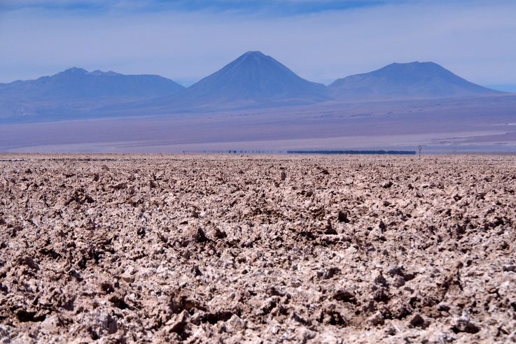 Salar de Chaxa - désert d'Atacama