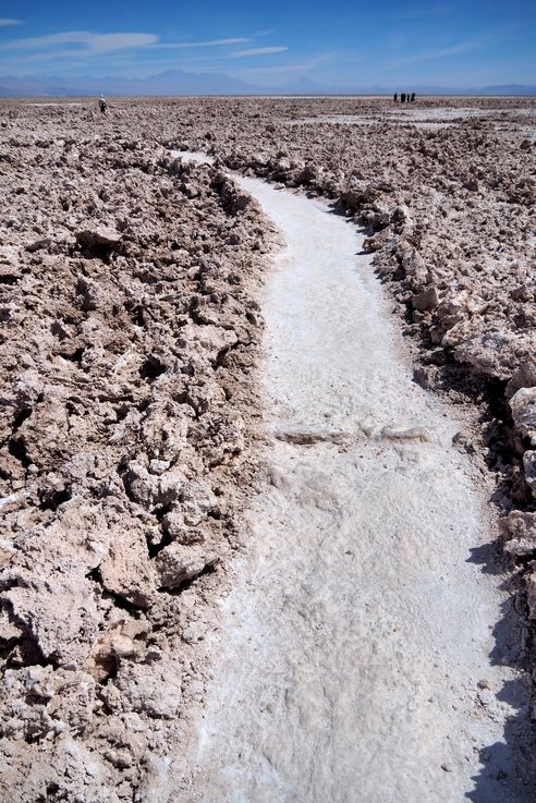 Salar de Chaxa - désert d'Atacama