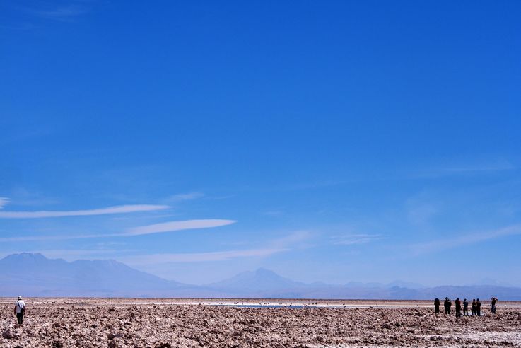 Salar de Chaxa - désert d'Atacama