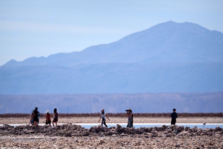 Salar de Chaxa - désert d'Atacama