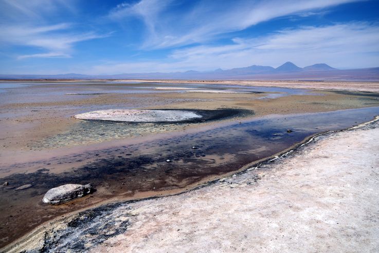 Salar de Chaxa - désert d'Atacama