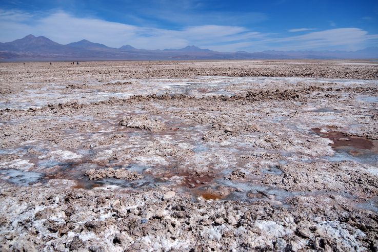 Salar de Chaxa - désert d'Atacama