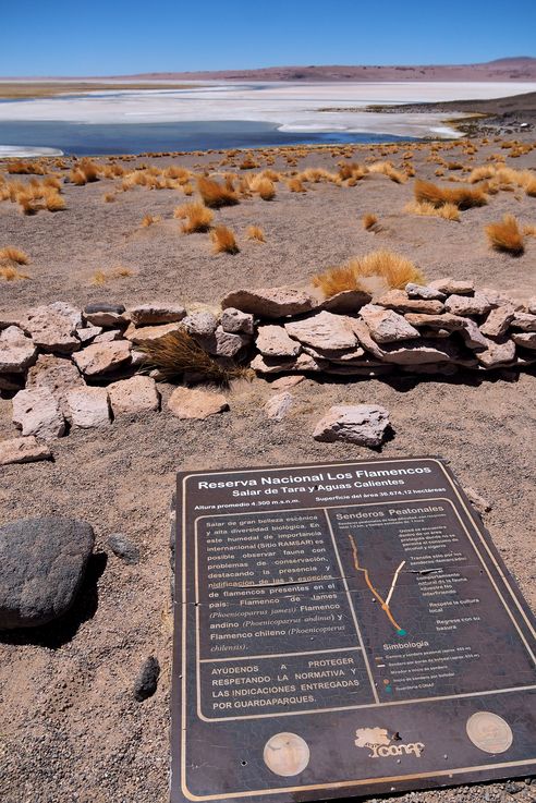 Le salar de Tara - désert d'Atacama