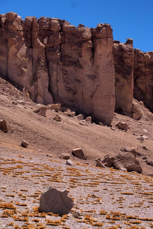 Le salar de Tara - désert d'Atacama