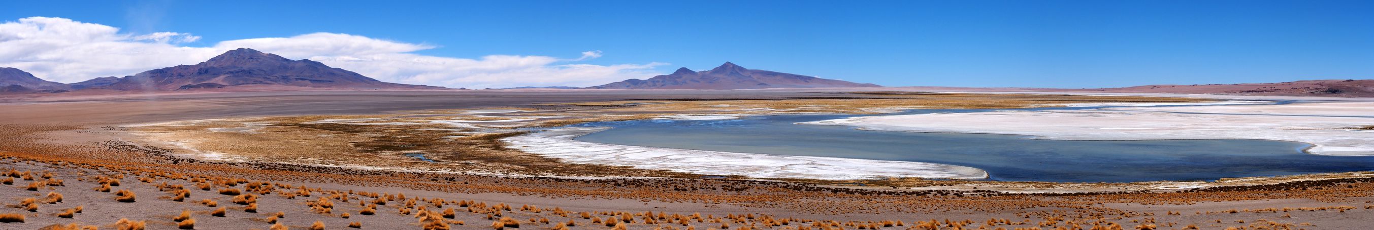 Le salar de Tara - désert d'Atacama