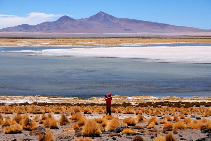 Le salar de Tara - désert d'Atacama