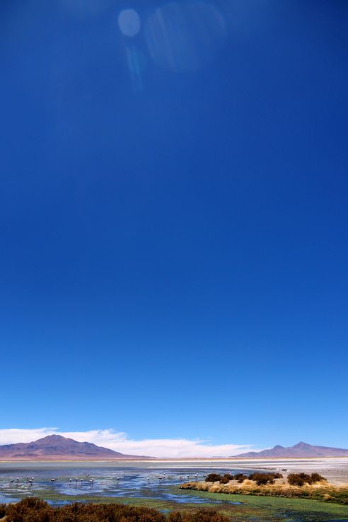 Le salar de Tara - désert d'Atacama