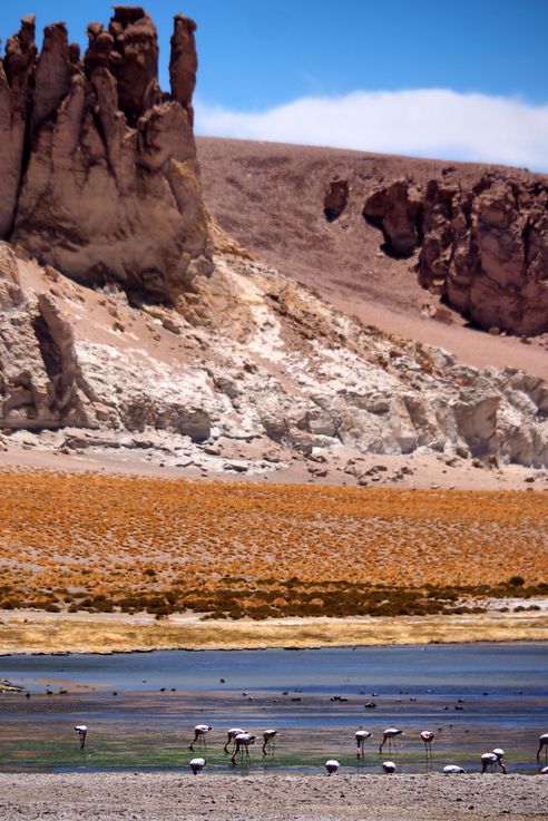 Le salar de Tara - désert d'Atacama