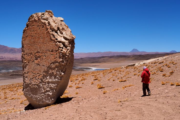 Le salar de Tara - désert d'Atacama