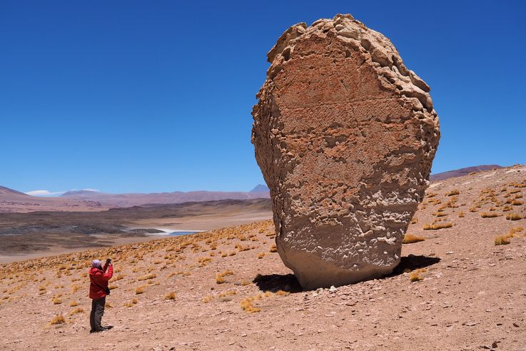 Le salar de Tara - désert d'Atacama