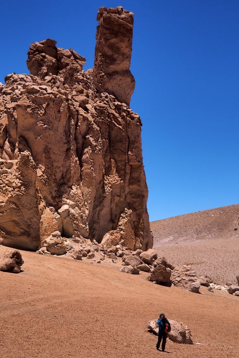 Le salar de Tara - désert d'Atacama