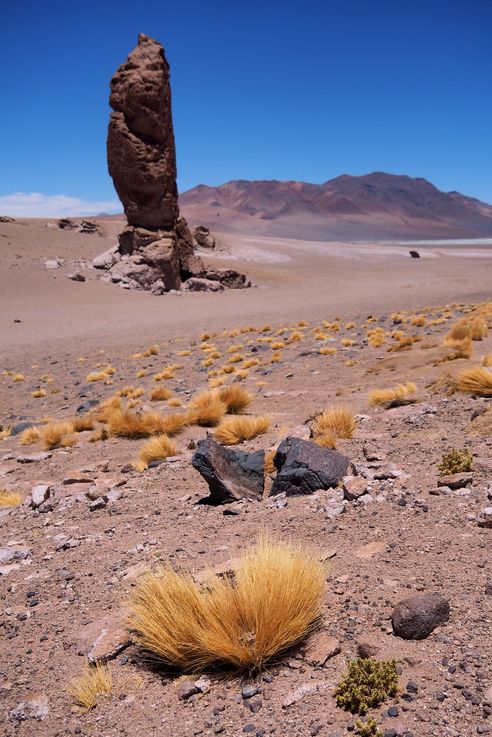 Le salar de Tara - désert d'Atacama