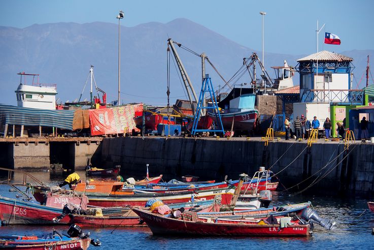 Antofagasta - désert d'Atacama