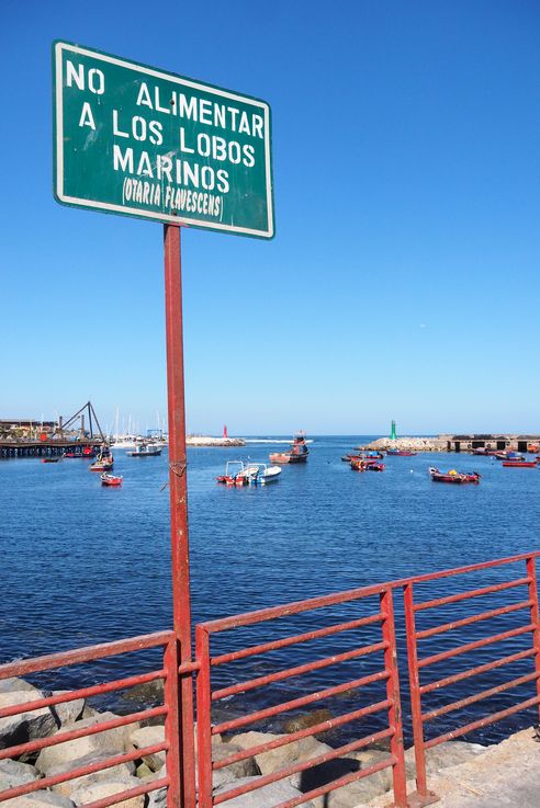 Antofagasta - désert d'Atacama