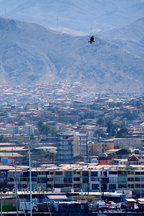 Antofagasta - désert d'Atacama