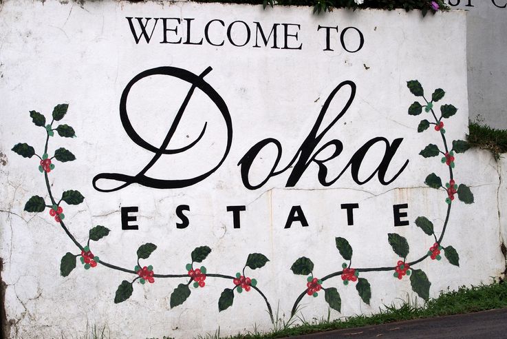 Welcome to Doka Estate
