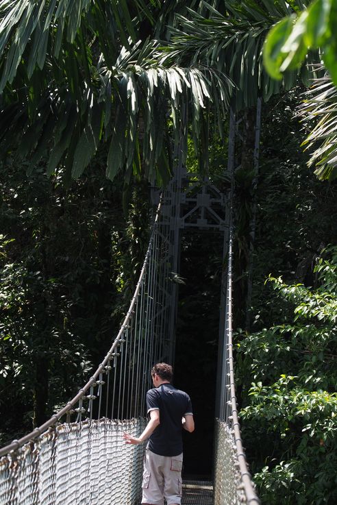 Pont suspendu au Arenal Hanging bridges