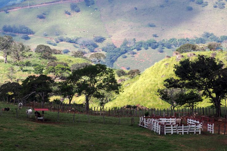 Chevaux à Monteverde