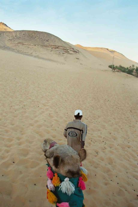 Dans le Sahara nubien