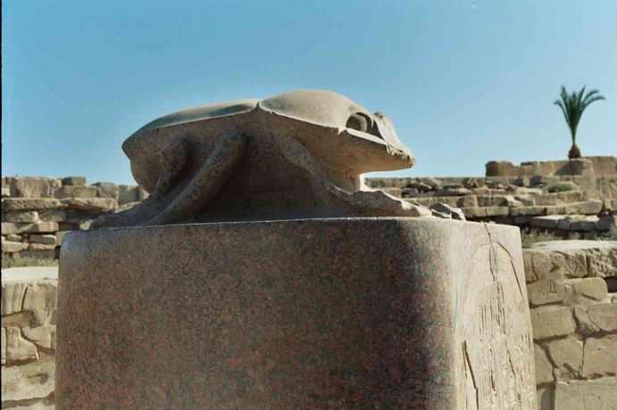 Le scarabé au temple de Karnak