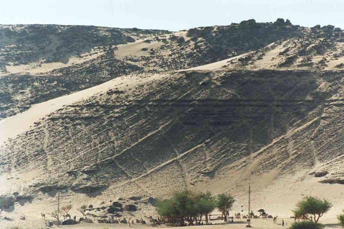 Caravanes de dromadaires en Nubie