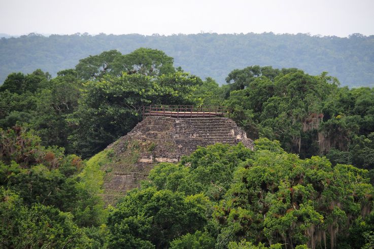 Tikal
Altitude : 358 mètres
