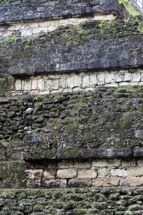 Mundo perdido - Tikal
Altitude : 311 mètres