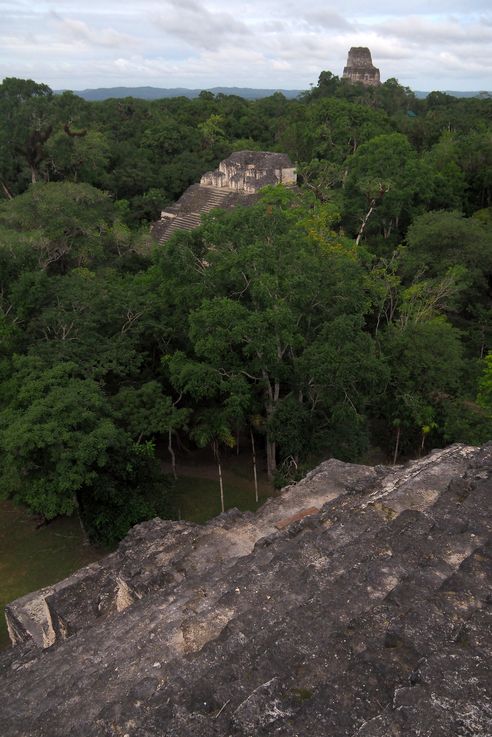 Mundo perdido - Tikal
Altitude : 327 mètres