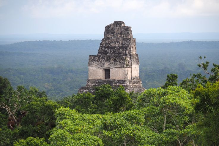 Temple I - Tikal
Altitude : 338 mètres