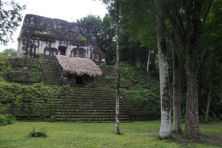 Temple V - Tikal
Altitude : 308 mètres