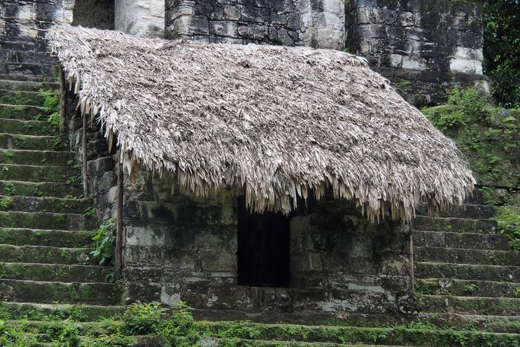 Temple V - Tikal
Altitude : 311 mètres