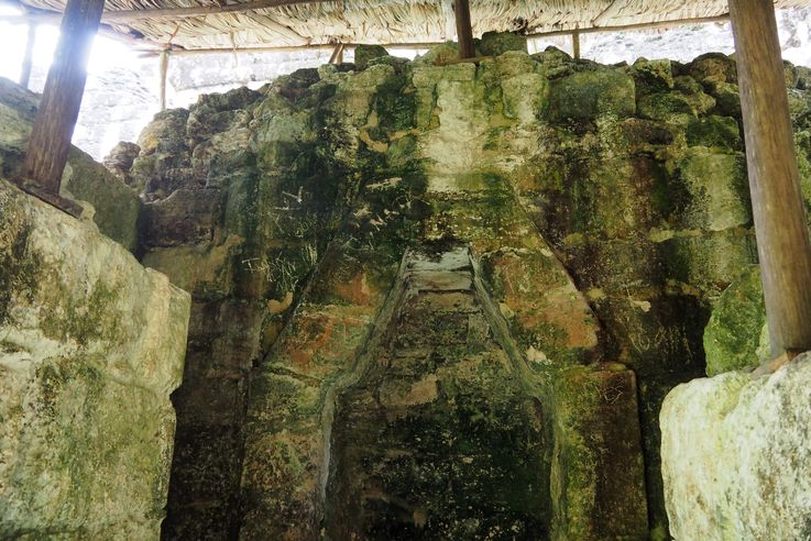 Temple V - Tikal
Altitude : 315 mètres