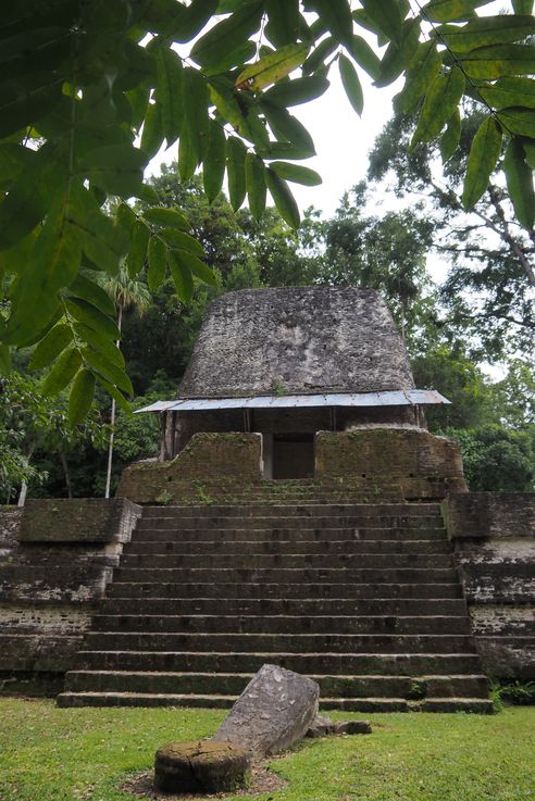 Los siete templos - Tikal
Altitude : 287 mètres