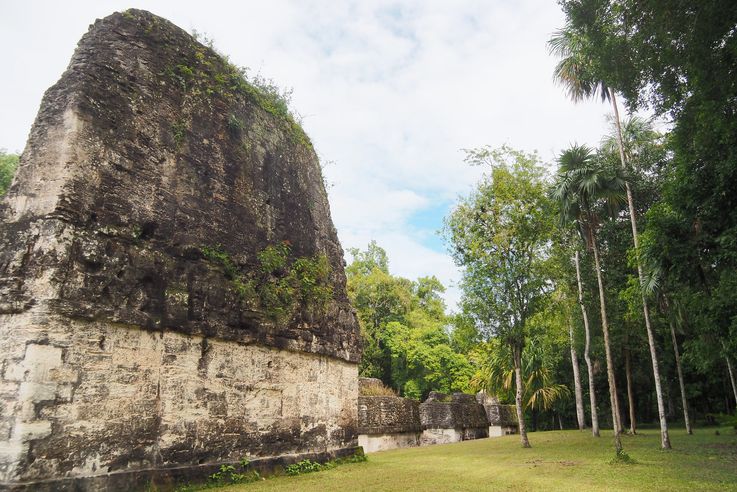 Los siete templos - Tikal
Altitude : 308 mètres