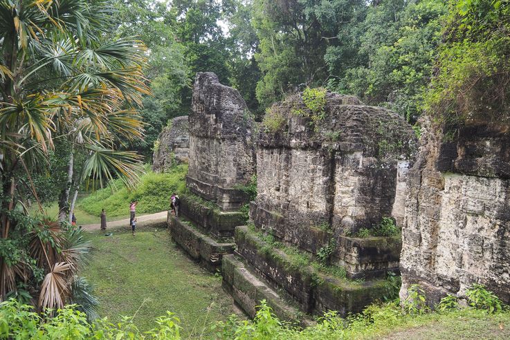 Los siete templos - Tikal
Altitude : 309 mètres