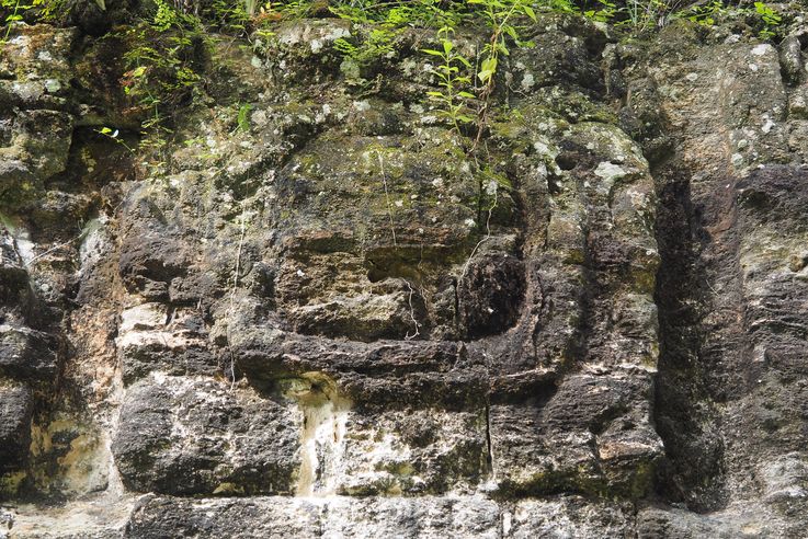 Los siete templos - Tikal
Altitude : 305 mètres