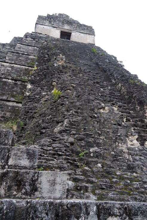 Temple du grand Jaguar - Tikal
Altitude : 289 mètres