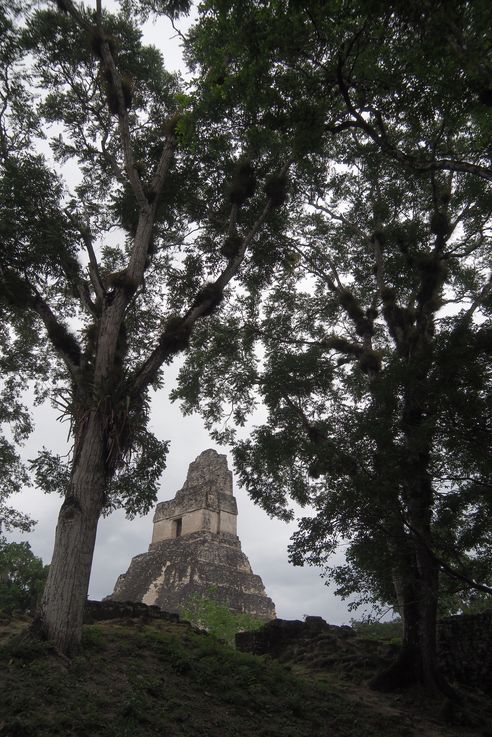 Temple du grand Jaguar - Tikal
Altitude : 305 mètres