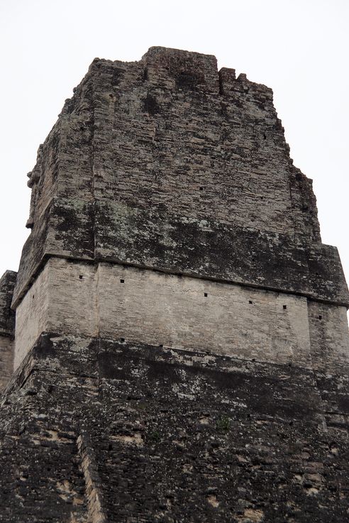 Gran sacerdote - Tikal
Altitude : 282 mètres