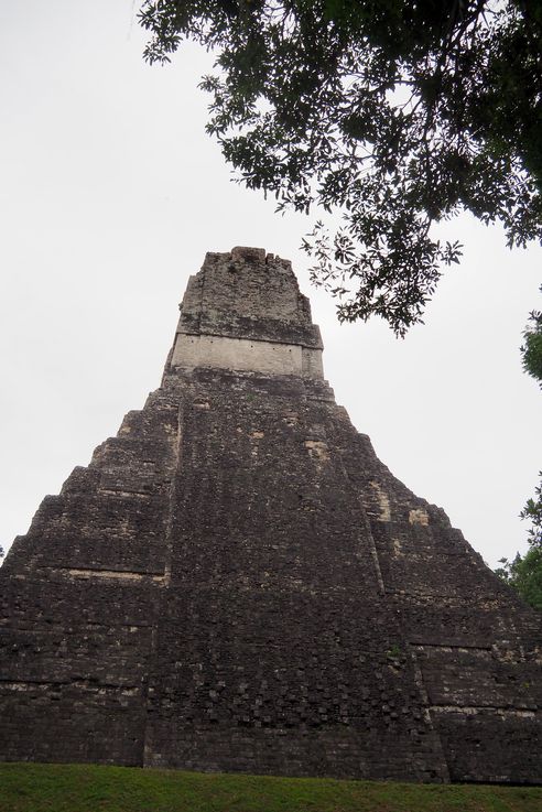 Gran sacerdote - Tikal
Altitude : 278 mètres