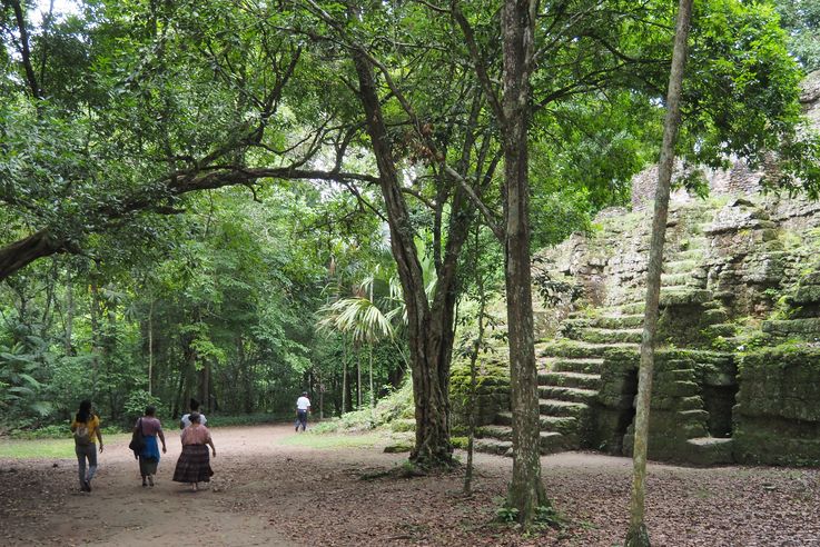 Temple V - Tikal
Altitude : 321 mètres