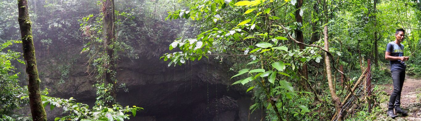 La cueva del Tigre (Livingston)