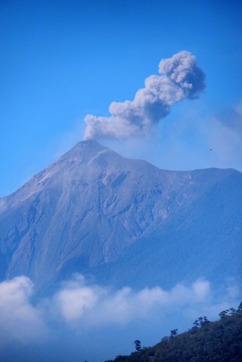 Le volcan de Fuego
Altitude : 1545 mètres