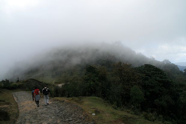 En trek dans le parc national de Singalila